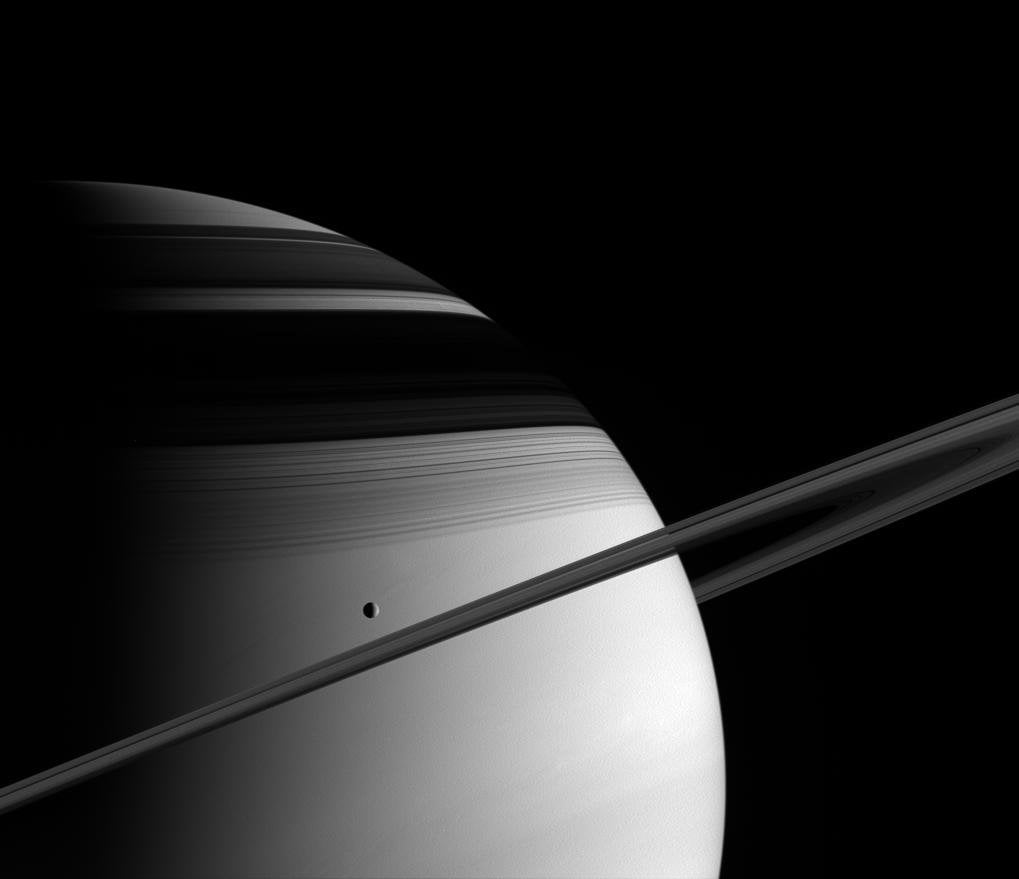Tetis frente a Saturno